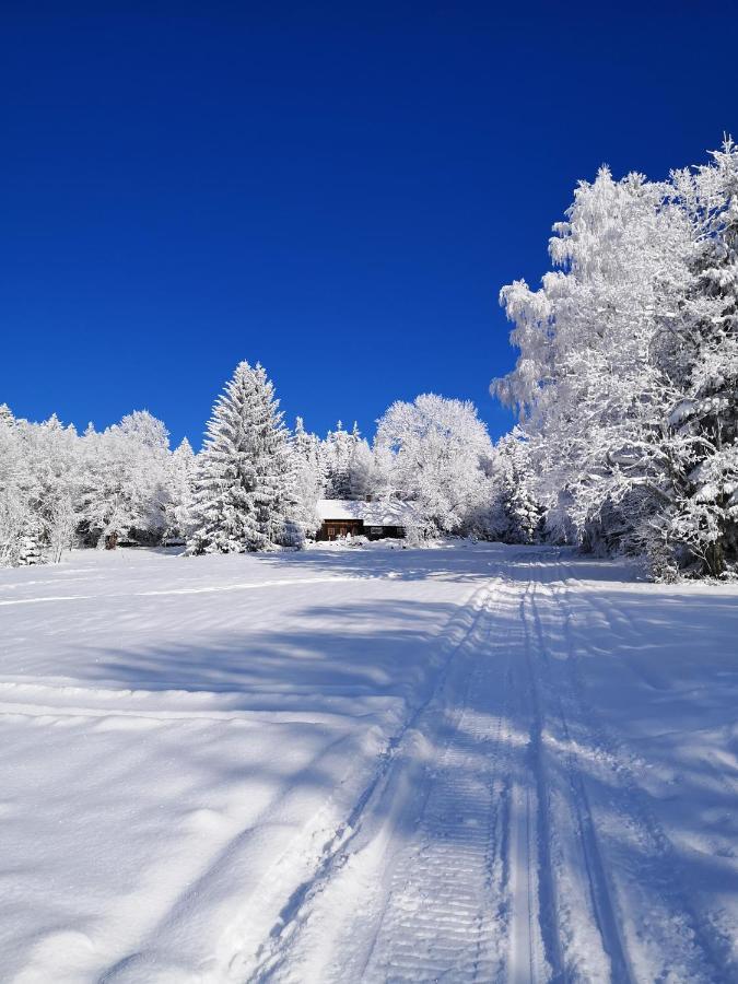 Chata Zákoutí Vítkovice Exterior foto
